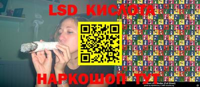 амф Сланцы