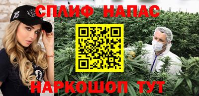 амф Сланцы