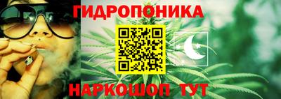 амф Сланцы
