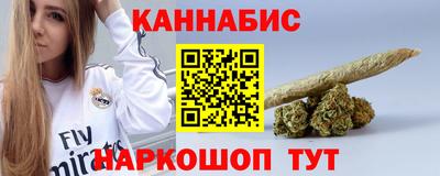амф Сланцы