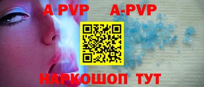амф Сланцы
