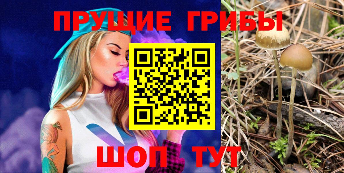 Псилоцибиновые грибы мицелий  Галлюциногенные грибы Cubensis  Отрадное  Вход с VPN 